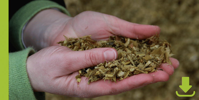 IOFC - Einkommen nach Futterkosten - www.kuehe-gesund-fuettern.de