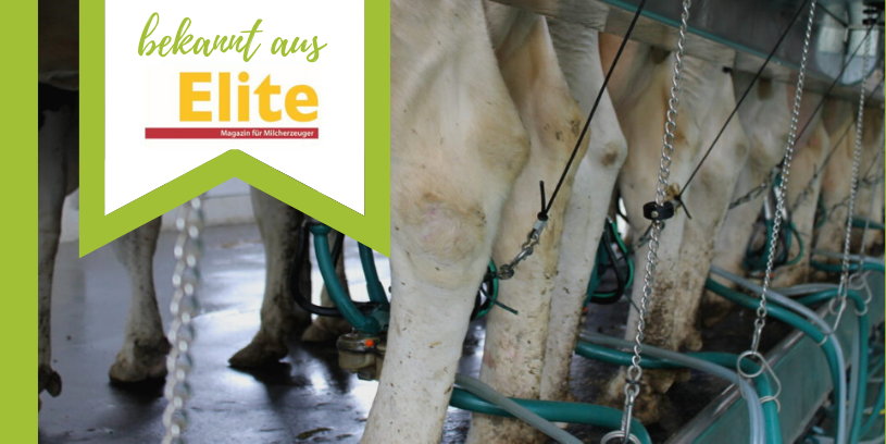 MLP-Kennzahlen - www.kuehe-gesund-fuettern.de