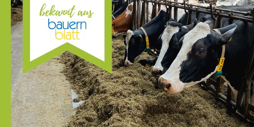 Verbesserung der Tiergesundheit