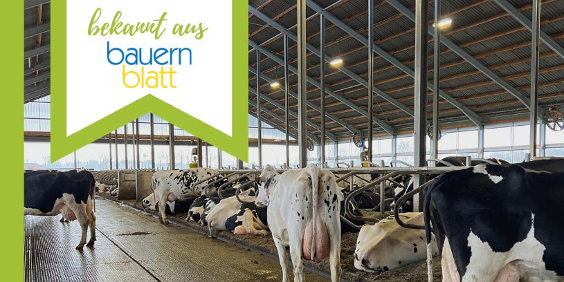 Erfolgreich füttern Lichtmanagement