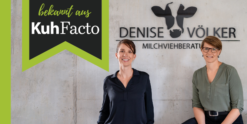 Milchviehbeatung - Kühe haben immer recht