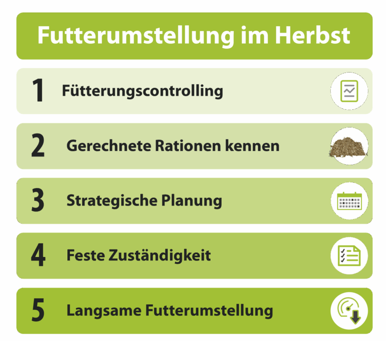 Futterumstellung im Herbst